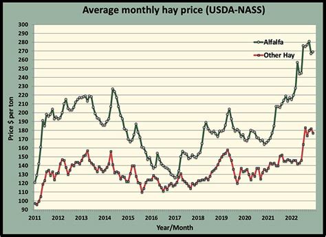 alfalfa hay prices 2023